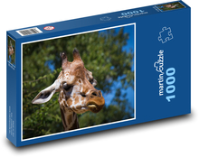 Žirafa ve výběhu na slunci Puzzle 1000 - 60x46 cm