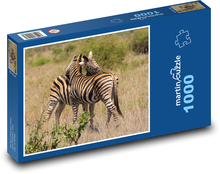 Zebry objali savanu Puzzle 1000 dielikov - 60 x 46 cm 