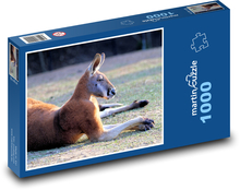 Klokan ležiaci na lúke Puzzle 1000 dielikov - 60 x 46 cm