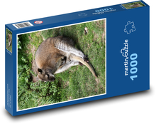 Odpoczywający kangur Puzzle 1000 elementów - 60x46 cm