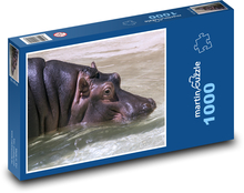 Hippo floating in water Puzzle 1000 pieces - 60 x 46 cm