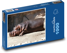 Ausruhendes Nilpferd Puzzle 1000 Teile - 60 x 46 cm
