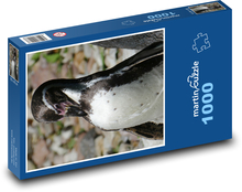 Pinguin aalen an Land Puzzle 1000 Teile - 60 x 46 cm