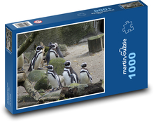 Kolonia pingwinów Puzzle 1000 elementów - 60x46 cm