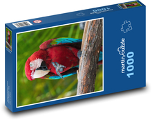 Ara červený, exotický papagáj Puzzle 1000 dielikov - 60 x 46 cm 