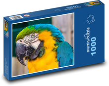 Blue-and-yellow macaw, close-up of a parrot Puzzle 1000 pieces - 60 x 46 cm 