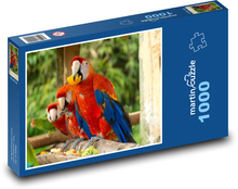 Parrot Puzzle 1000 pieces - 60 x 46 cm 