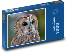 Sova, strážca lesa Puzzle 1000 dielikov - 60 x 46 cm 