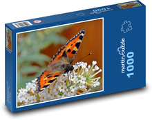 Motýľ sediaci na bielom kvete Puzzle 1000 dielikov - 60 x 46 cm 