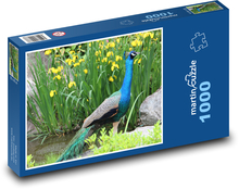 Páv na brehu rybníka Puzzle 1000 dielikov - 60 x 46 cm 