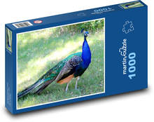 Peacock Puzzle 1000 dielikov - 60 x 46 cm 