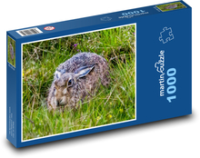 Zajac ukrytý v tráve Puzzle 1000 dielikov - 60 x 46 cm 