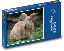 Braunes Kaninchen sitzt auf einer Wiese Puzzle 1000 Teile - 60 x 46 cm