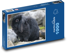 Černý králík sedící na kameni Puzzle 1000 dílků - 60 x 46 cm
