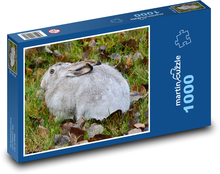 Šedý králík sedící v napadaném listí Puzzle 1000 dílků - 60 x 46 cm