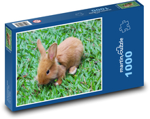 Kleines Kaninchen im Gras Puzzle 1000 Teile - 60 x 46 cm