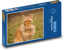 Chlupatý hnědý králík Puzzle 1000 dílků - 60 x 46 cm