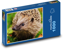 Roztomilý ježko s čiernym náhubkom Puzzle 1000 dielikov - 60 x 46 cm 