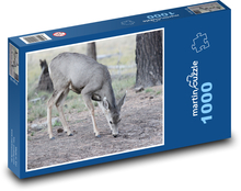 Jeleń w lesie Puzzle 1000 elementów - 60x46 cm