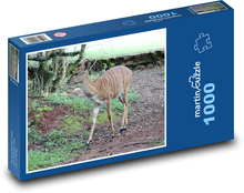 Jelen, laň s bílými pruhy Puzzle 1000 - 60x46 cm