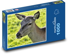 Laň na pastvě Puzzle 1000 dílků - 60 x 46 cm