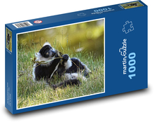 Lemur vari čierna a biela Puzzle 1000 dielikov - 60 x 46 cm 