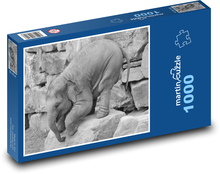Malé slůně hrající si na skále Puzzle 1000 dílků - 60 x 46 cm