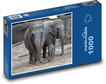 Rodzina słoni w zoo Puzzle 1000 elementów - 60x46 cm