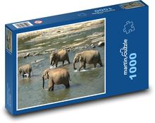 Stado słoni brodzące w rzece Puzzle 1000 elementów - 60x46 cm