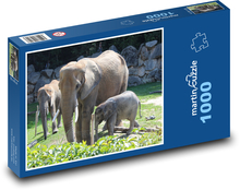 Rodzina słoni w ogrodzeniu zoo Puzzle 1000 elementów - 60x46 cm
