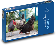 Kurczak i kogut na podwórku Puzzle 1000 elementów - 60x46 cm