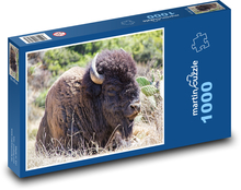 Bizon ve volné přírodě Puzzle 1000 - 60x46 cm