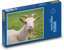 Biela koza na pasienkoch Puzzle 1000 dielikov - 60 x 46 cm 