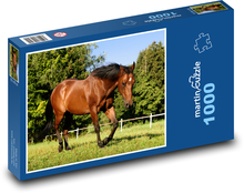 Pferd Puzzle 1000 Teile - 60 x 46 cm