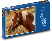 Brązowo-biały koń z uprzężą Puzzle 1000 elementów - 60x46 cm
