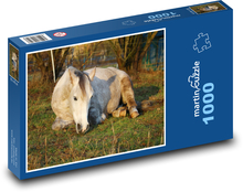 Pferd Puzzle 1000 Teile - 60 x 46 cm