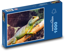 Legwan zielony wspinający się na gałąź Puzzle 1000 elementów - 60x46 cm