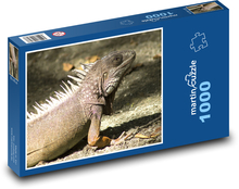 Leguán lezoucí po zemi Puzzle 1000 - 60x46 cm
