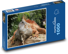 Ein Leguan, der sich auf einem Stein sonnt Puzzle 1000 Teile - 60 x 46 cm