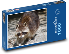 Mýval na procházce Puzzle 1000 - 60x46 cm