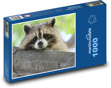 Raccoon lying on a branch Puzzle 1000 pieces - 60 x 46 cm