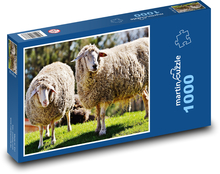 Ovce pasoucí se na trávě Puzzle 1000 dílků - 60 x 46 cm