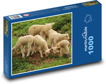 Ovce - jehně Puzzle 1000 dílků - 60 x 46 cm