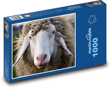 Ovce s dlhými ušami Puzzle 1000 dielikov - 60 x 46 cm 
