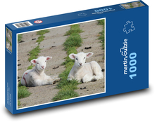 Sheep - lamb Puzzle 1000 pieces - 60 x 46 cm 