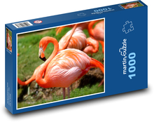 Orangefarbene Flamingos stehen im Fluss Puzzle 1000 Teile - 60 x 46 cm