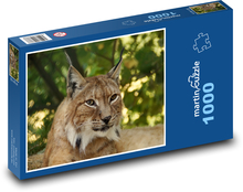 Rysí ostrov v lese Puzzle 1000 dielikov - 60 x 46 cm 