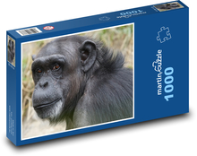 Black chimpanzee Puzzle 1000 pieces - 60 x 46 cm 