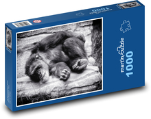 Affe Puzzle 1000 Teile - 60 x 46 cm