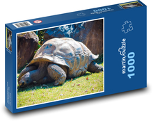 Eine Schildkröte, die im Zoo krabbelt Puzzle 1000 Teile - 60 x 46 cm